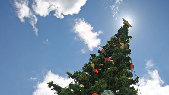 The ACT Government is under pressure to make Christmas day a public holiday.