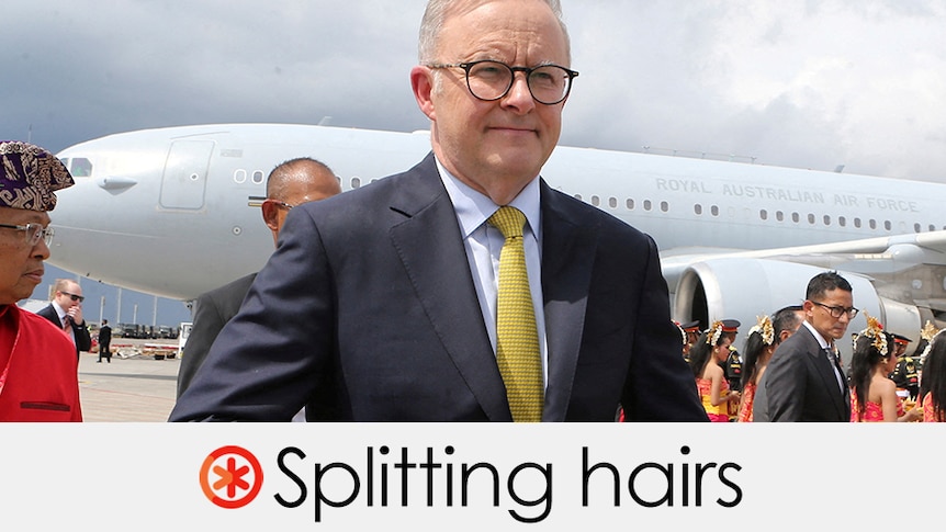 Anthony Albanese is in front of an aeroplane and wears a suit. VERDICT: Splitting hairs