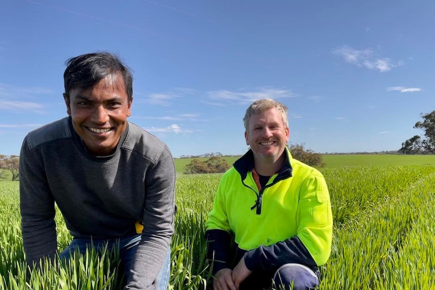 DPRID soil scientist Dr Gaus Azam and Meckering Farmer Ty Fulwood in barley trial plots. 