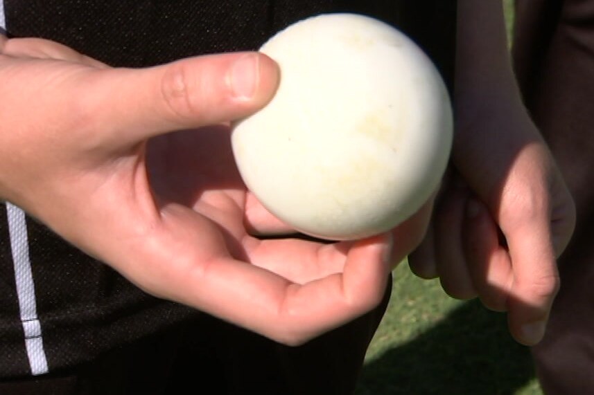 A hand holding the white ball used in blind cricket.