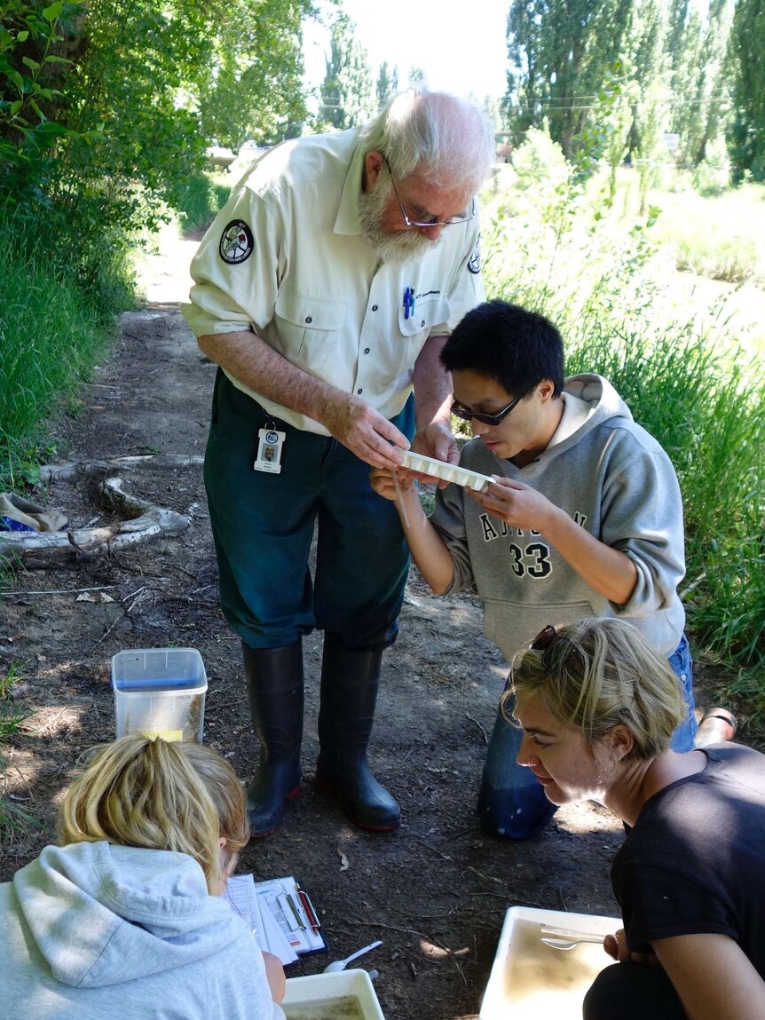 Bug Blitz volunteers