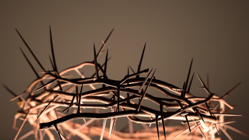 According to the New Testament, a woven crown of thorns was placed on the head of Jesus during the events leading up to his crucifixion. It was one of the instruments of the Passion, employed by Jesus' captors to cause him pain and to mock his claim of authority. (Image: Pixabay. Photograph: hnanace)