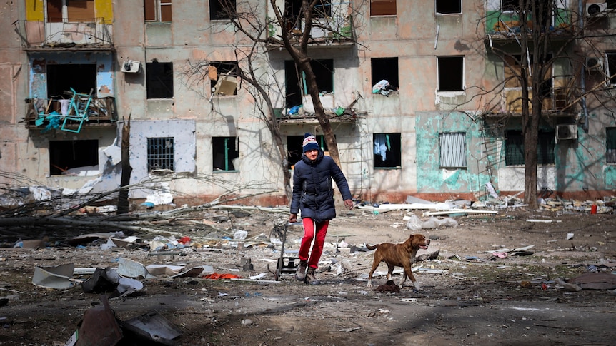 A man walking with a dog in a ruined area near Mariupol. 