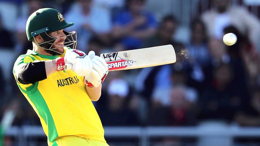 Australian batsman David Warner cuts a ball with his Spartan bat during the Cricket World Cup clash with South Africa.