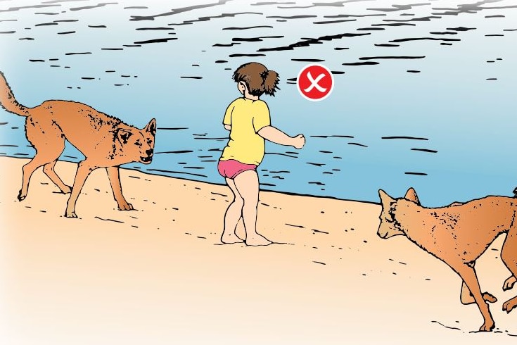 A warning poster about leaving children alone with dingoes targeted at visitors to Fraser Island.