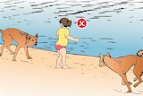 A warning poster about leaving children alone with dingoes targeted at visitors to Fraser Island.