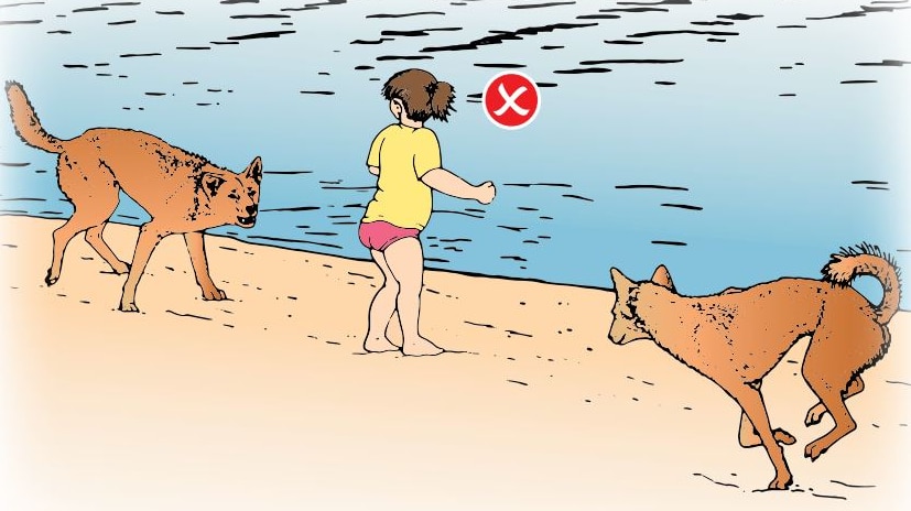 A warning poster about leaving children alone with dingoes targeted at visitors to Fraser Island.