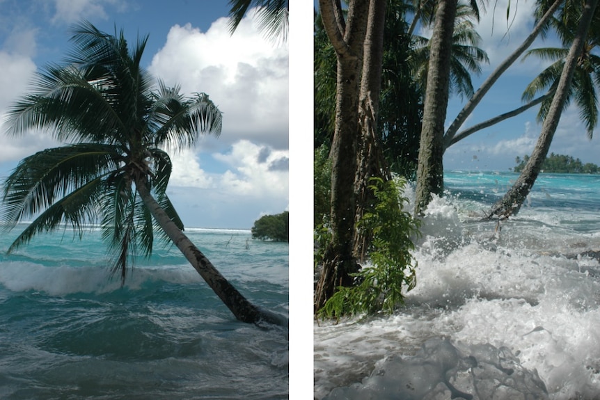 Composite of waves crashing near palm trees on Takuu atoll, Papua New Guinea