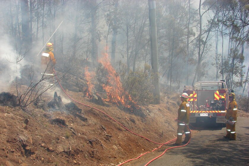 Tasmanian Firefighters backburning near road Jan 2008