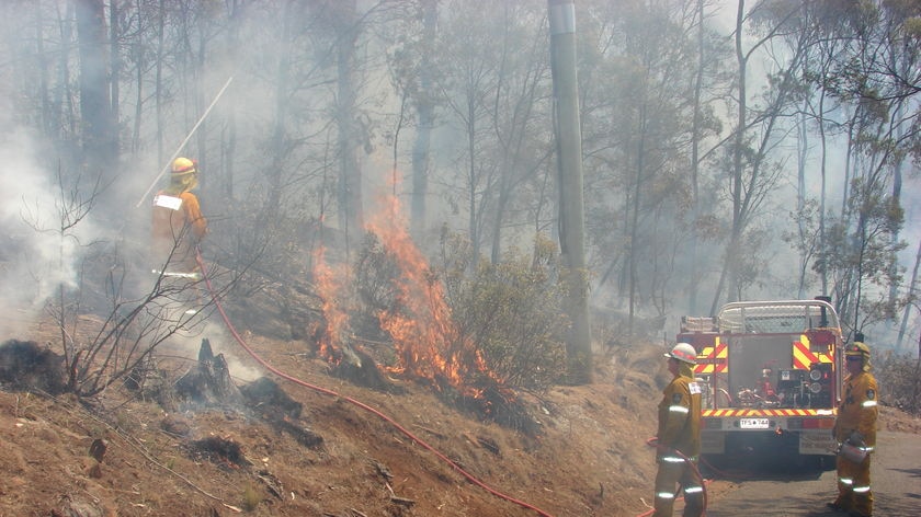 Tasmanian Firefighters backburning near road Jan 2008