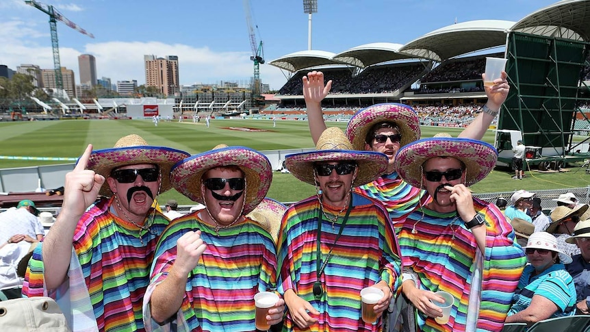 Some colourful fans enjoy the cricket