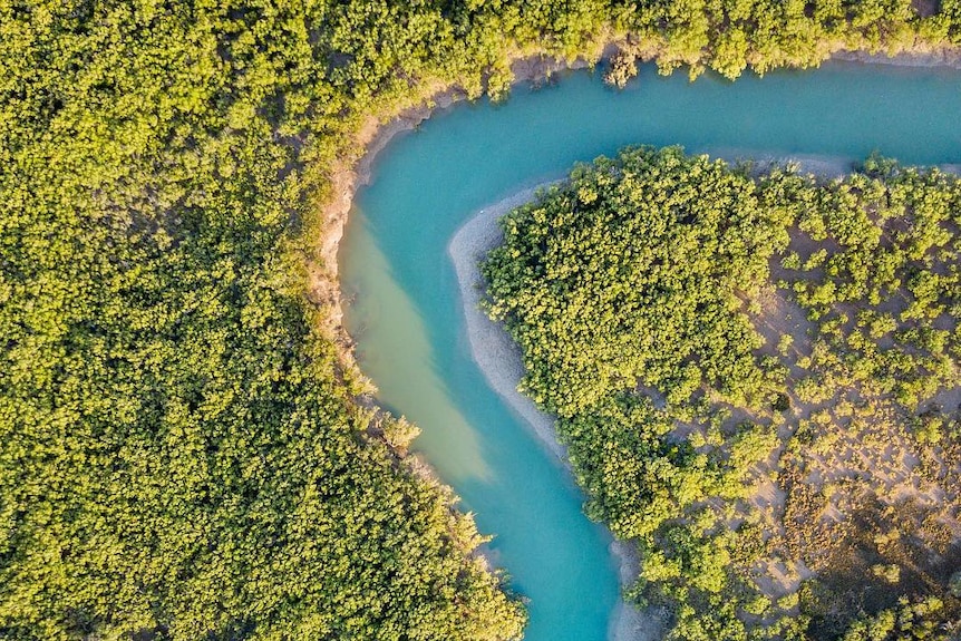 Aerial view of a river winding through coastal bushland