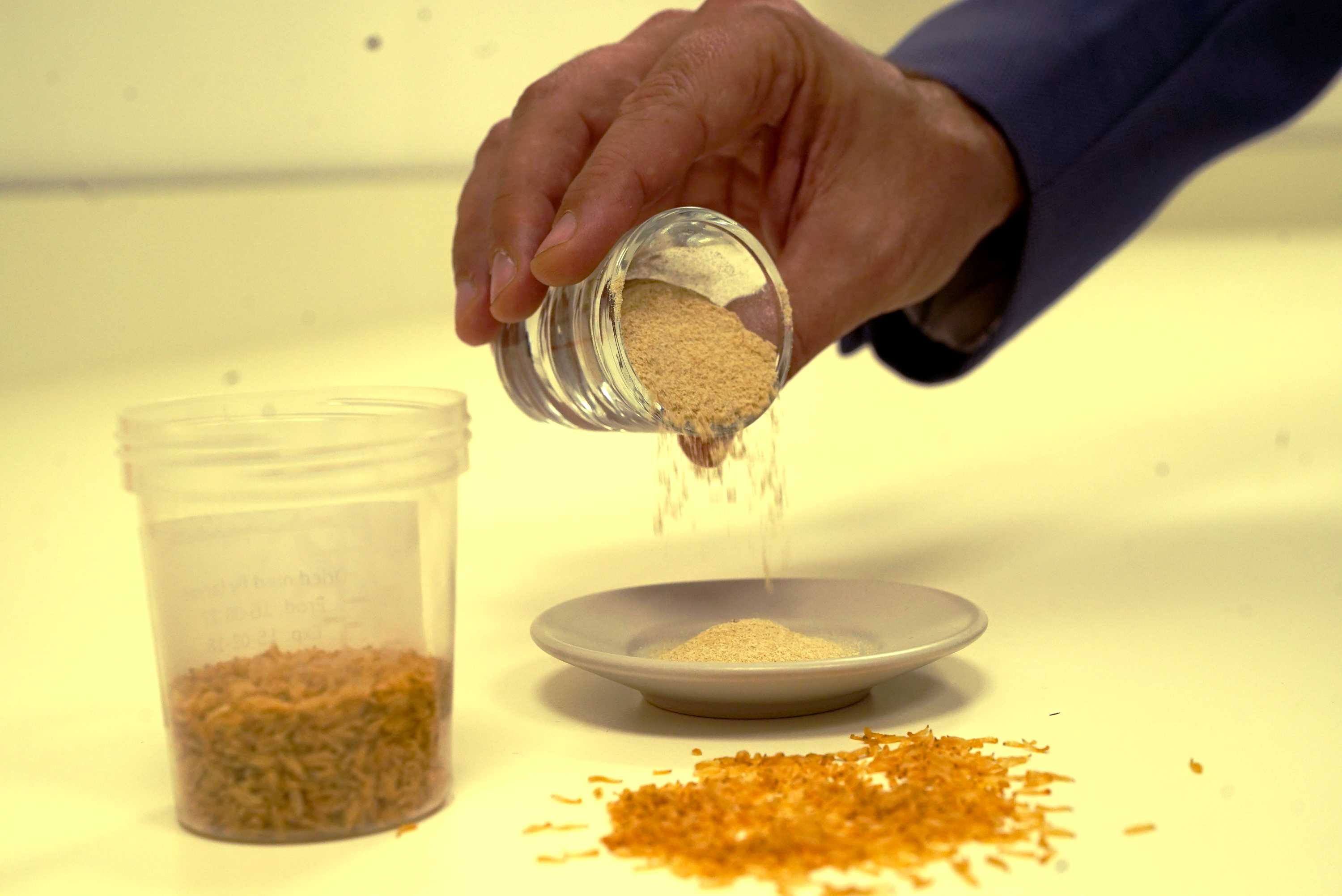 Israel S Food Tech Scene Experiments With Insects And Computer Designed Sweeteners Abc News