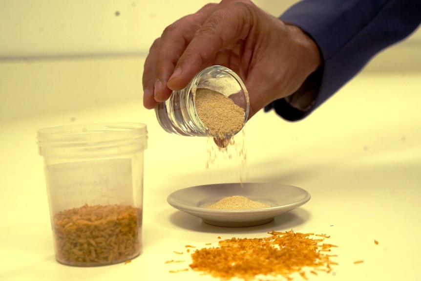 A man pouring a small glass of yellow powder onto a plate