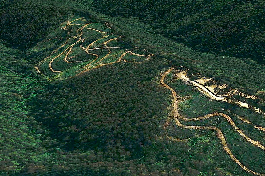 A birds-eye view of a logging area in a lush forest, showing roads winding around the side of a hill.