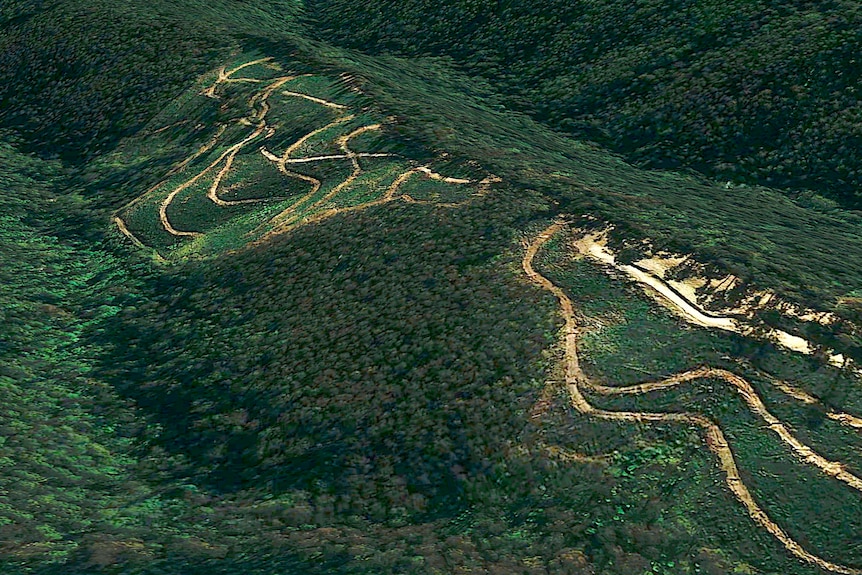A birds-eye view of a logging area in a lush forest, showing roads winding around the side of a hill.