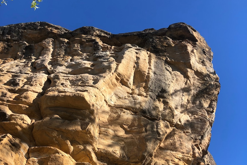 A large rock formation is seen set against blue skies, with a tree in the bottom left. 