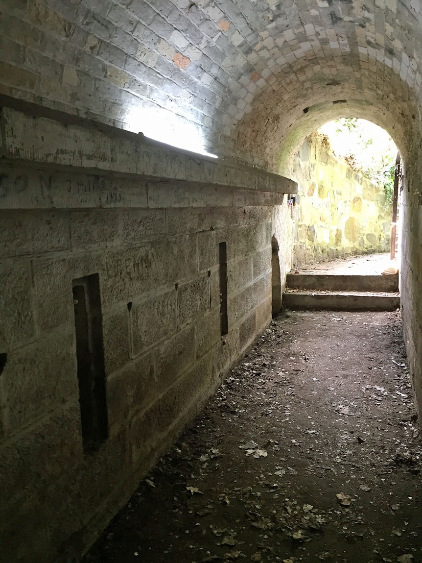 From the inside, looking out towards the entrance of the Princes Park magazine, a former ammunition battery.