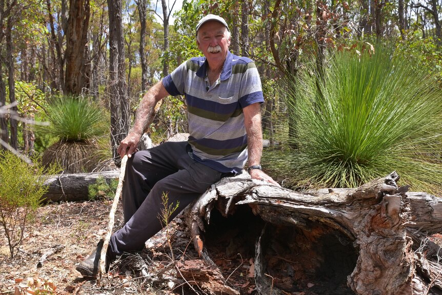 A man sitting on a log in the bush, holding a large stick.
