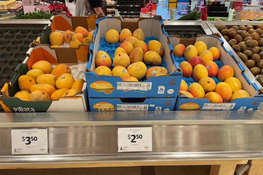 Orange mangoes in trays on a supermarket shelf, with a low $2.50 price tag.