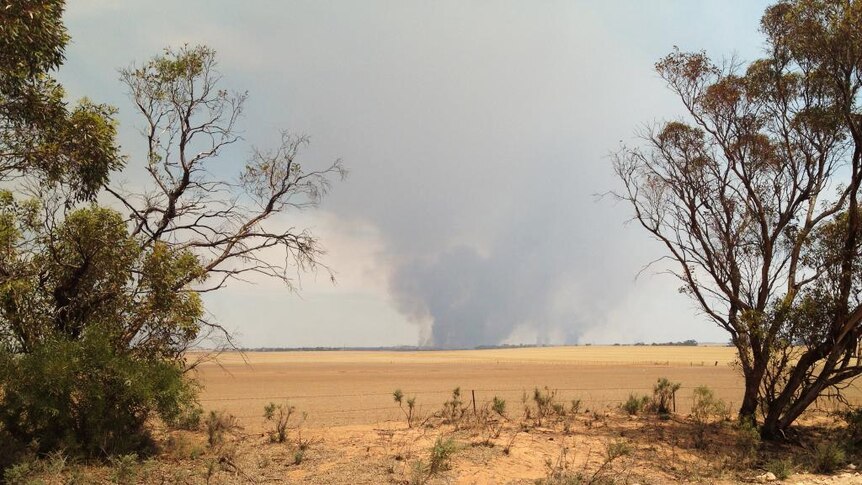 Some residents near fires in the Mallee have evacuated their homes