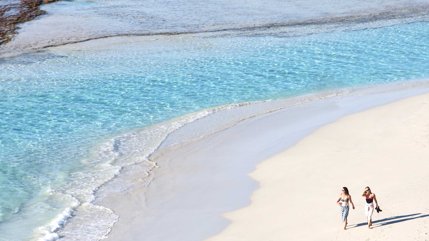 An overhead photo of two women walking along a beach.