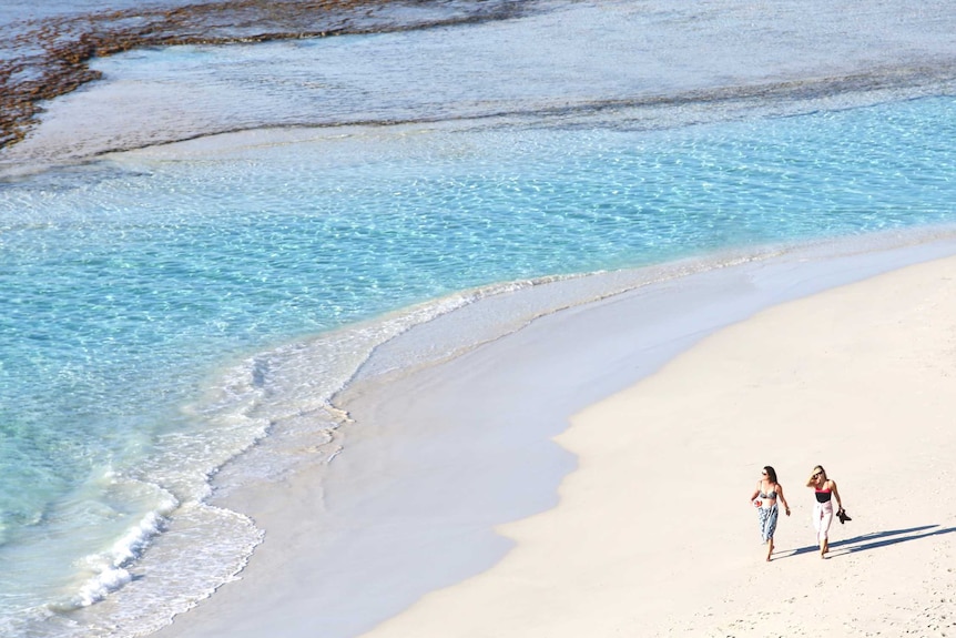 An overhead photo of two women walking along a beach.