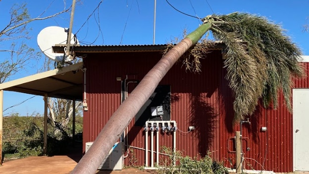 A palm tree has fallen onto a red tin building, with a white satellite dish on top and blue sky background