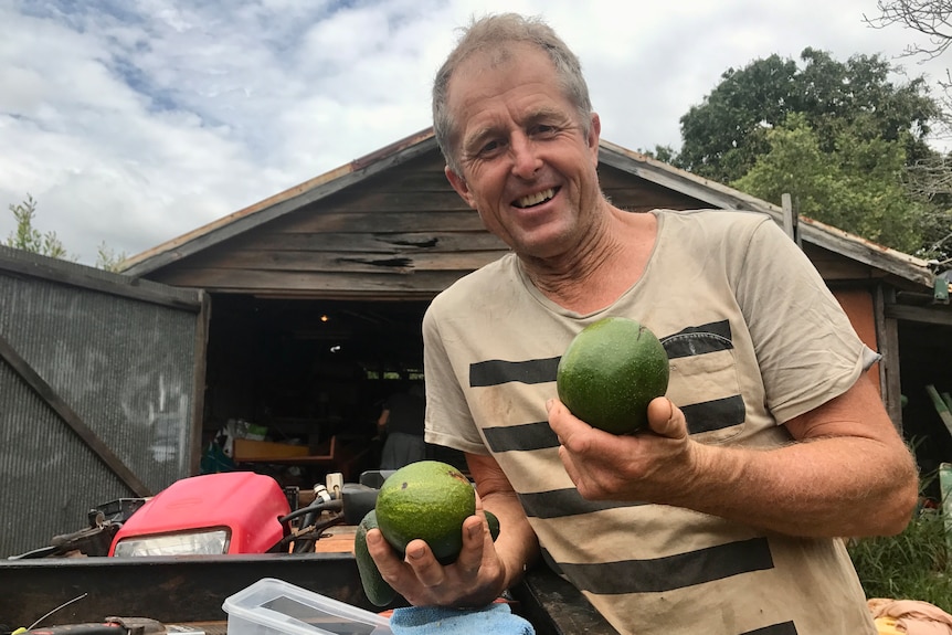 John Tidy holds up two avocadoes in front of a rustic barn.