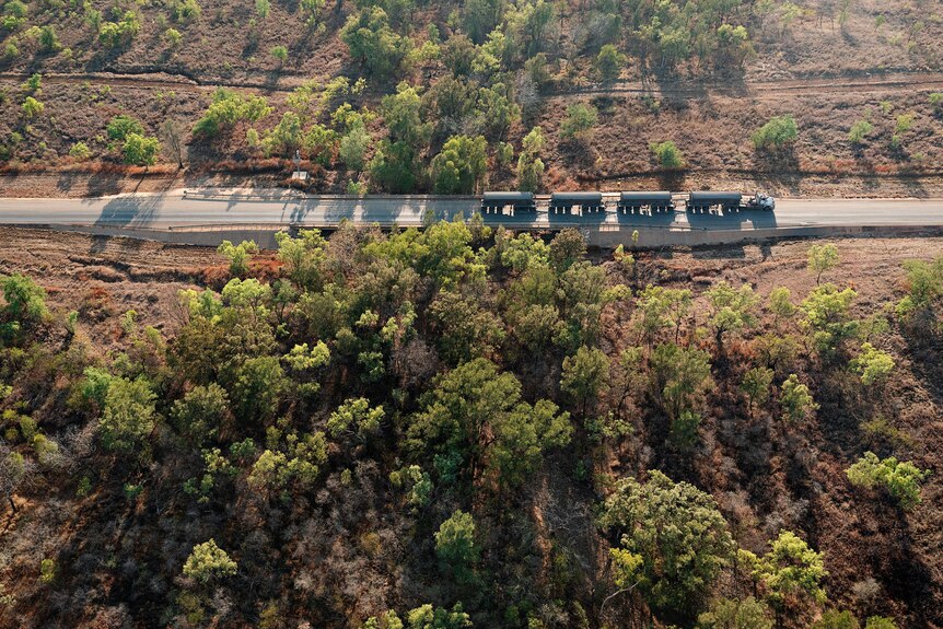 A road train travels along a tree-lined road from the McArthur River Mine to the Bing Bong port. 