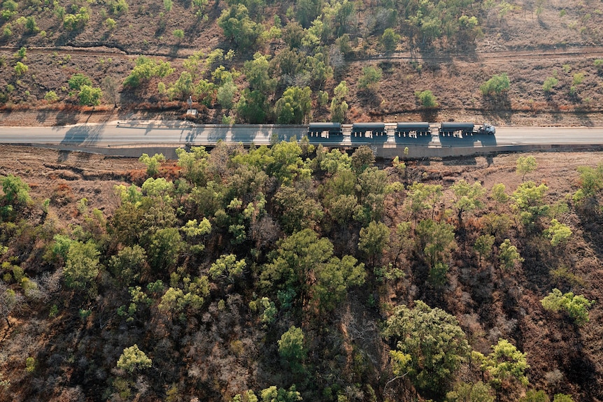 A road train travels along a tree-lined road from the McArthur River Mine to the Bing Bong port. 