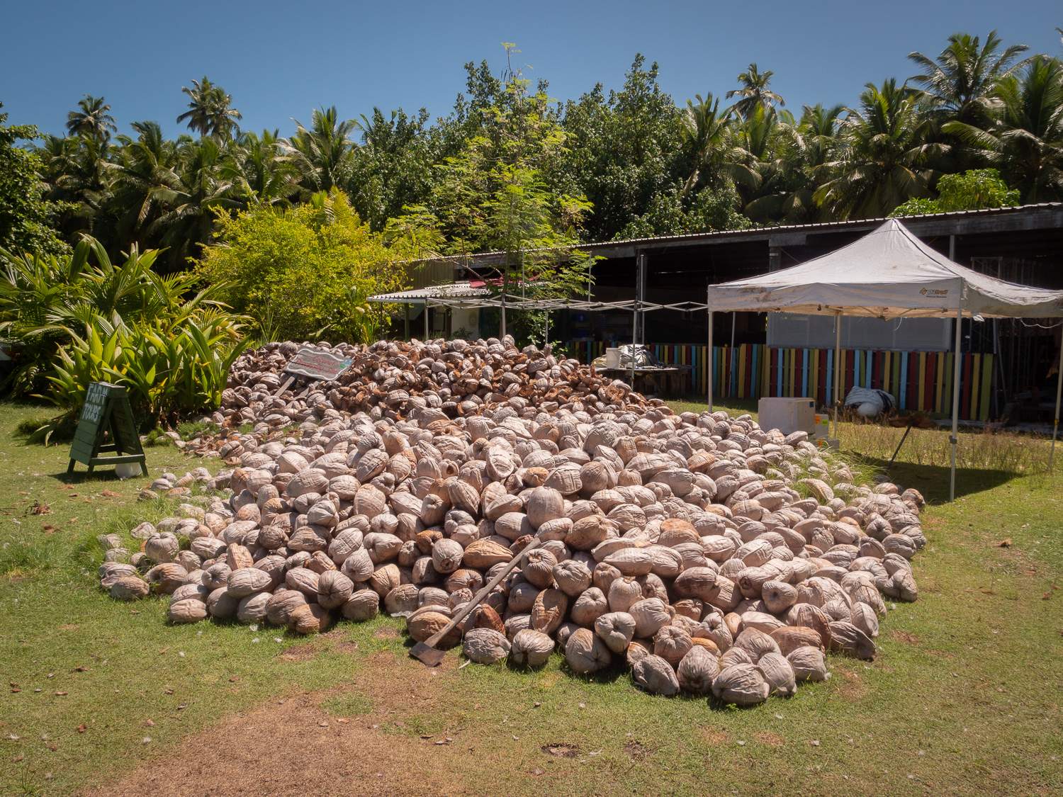 Experimental farmer on Cocos Islands hopes to rejuvenate Australian