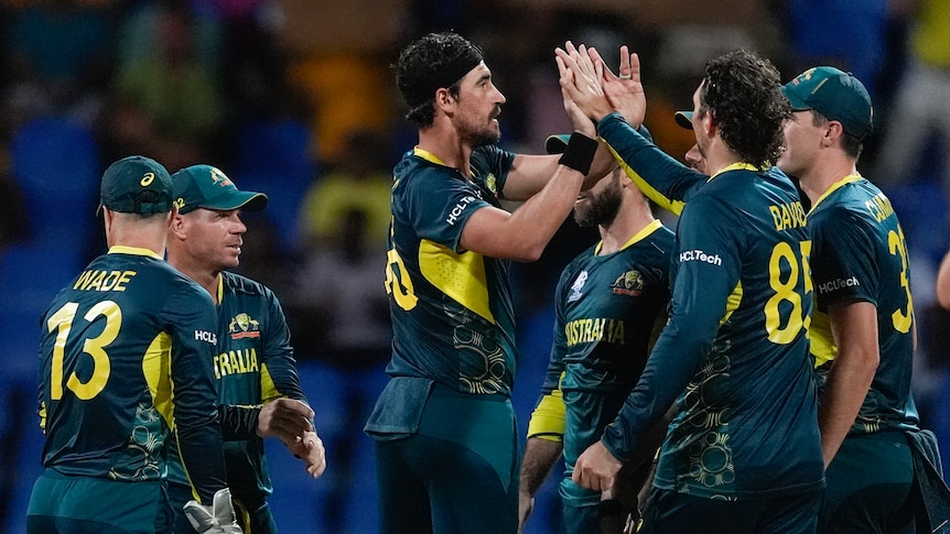 Mitchell Starc high-fives Australia teammates after taking a wicket against Bangladesh at the T20 World Cup.