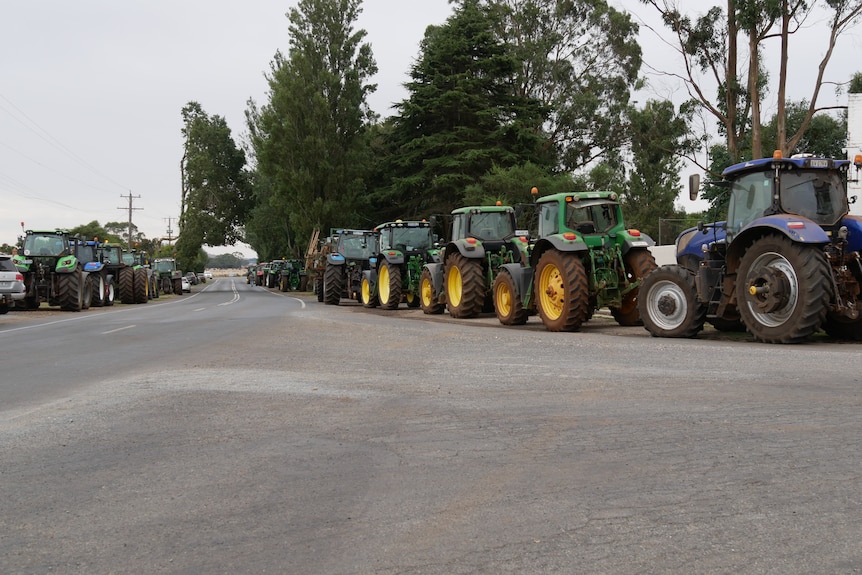 A regional road lined with tractors