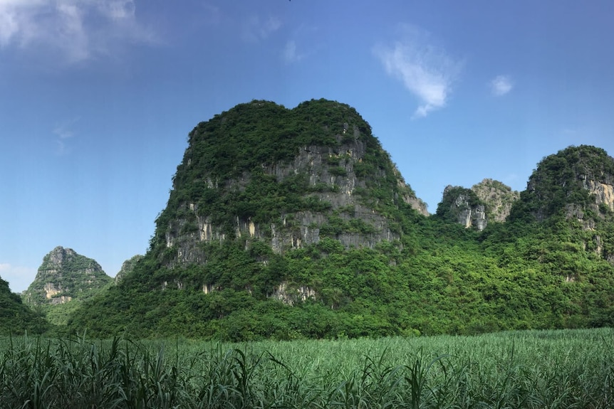 Tree-covered limestone mountains rise from a green plain