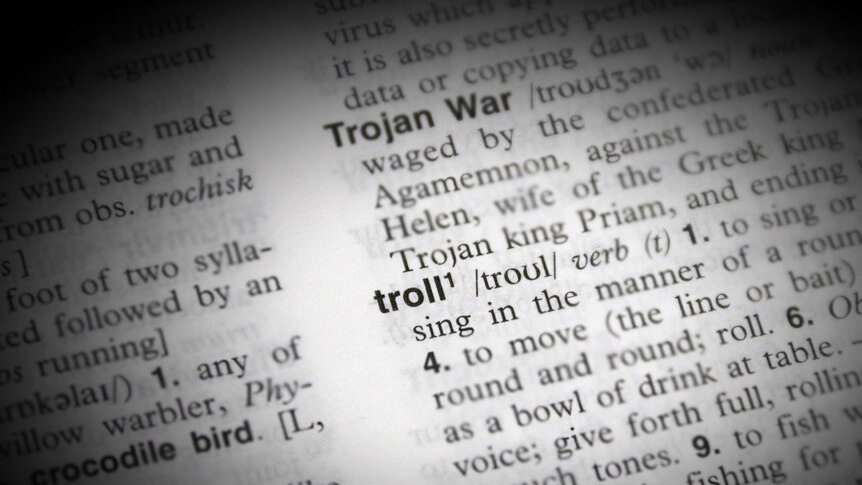 Dictionary definition of troll highlighted