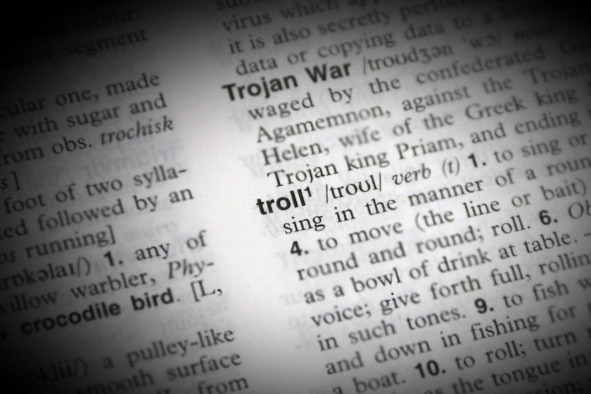 Dictionary definition of troll highlighted