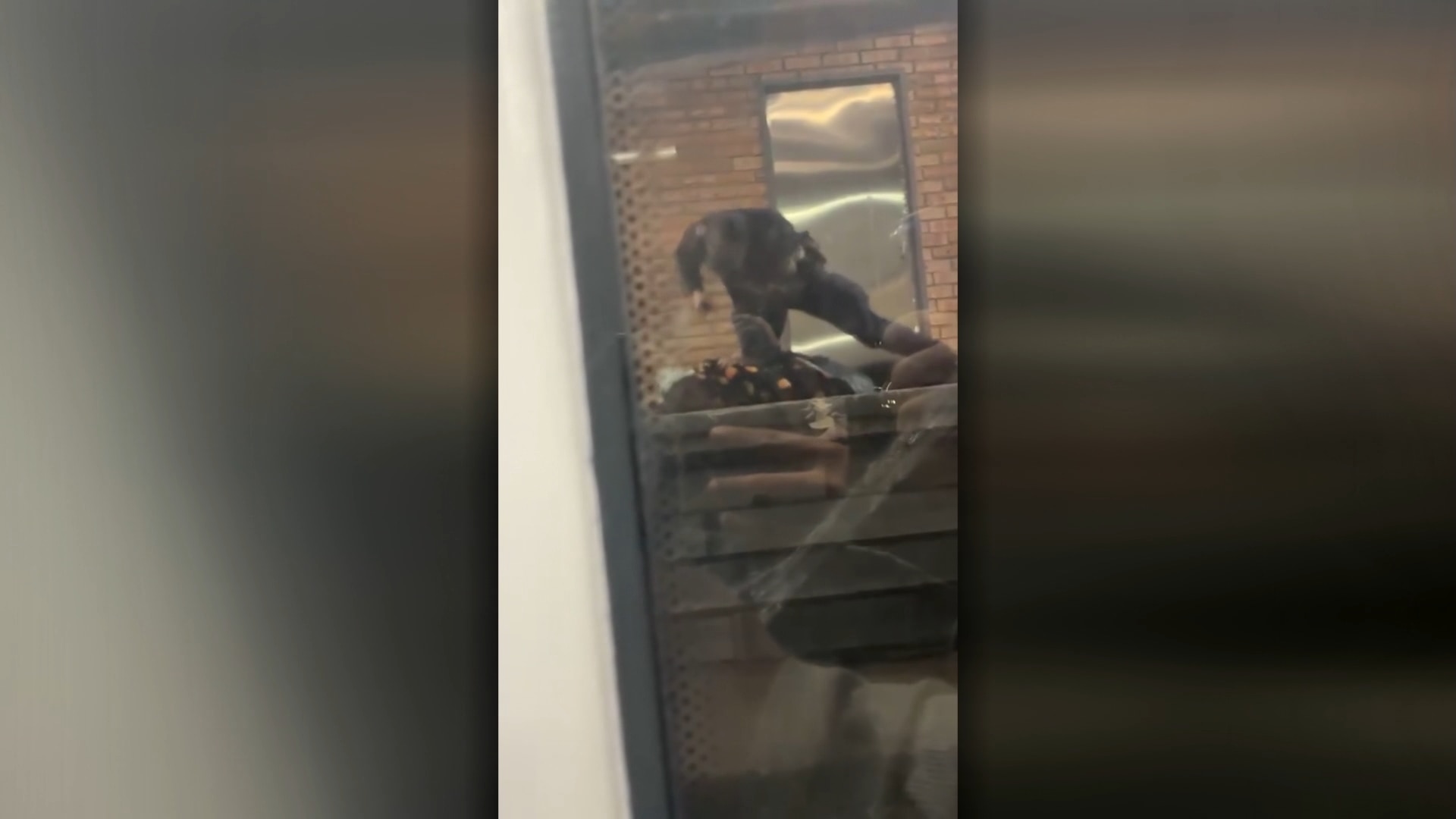 Officer filmed punching man was using 'approved manoeuvre', police say