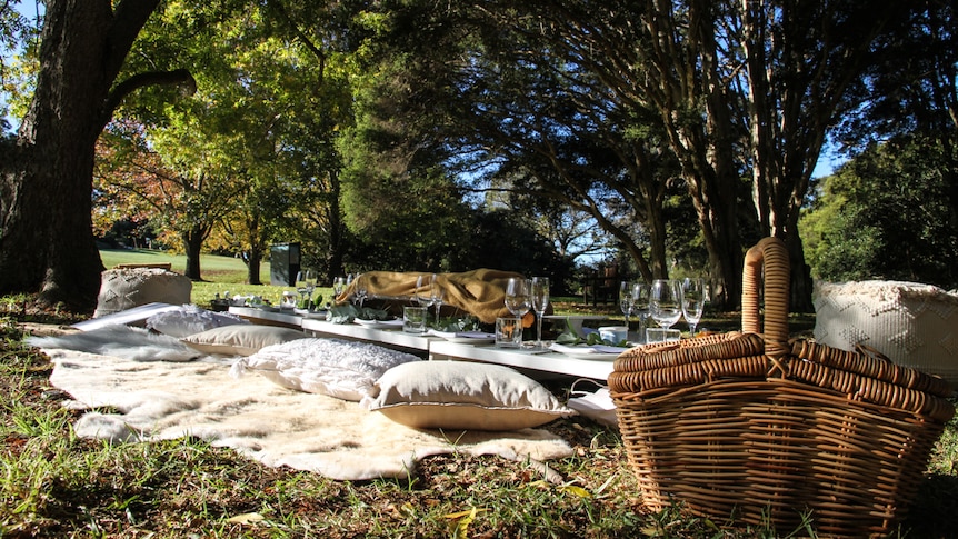 A picnic is set up under trees in a park