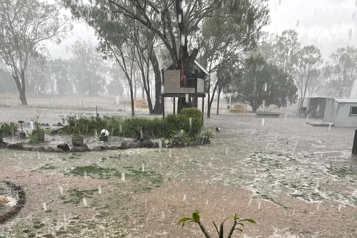 A wide yard soaked with rain and hail.