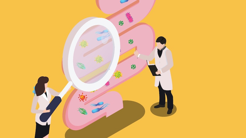Scientists looking at intestines with magnifying glass isometric 3d vector illustration concept 