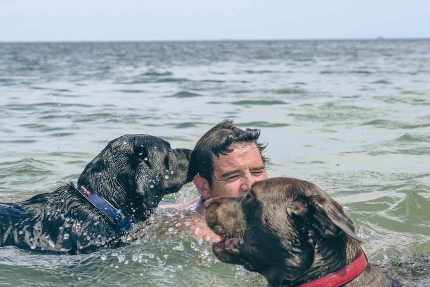 Aaron Taylor swims between his two dogs