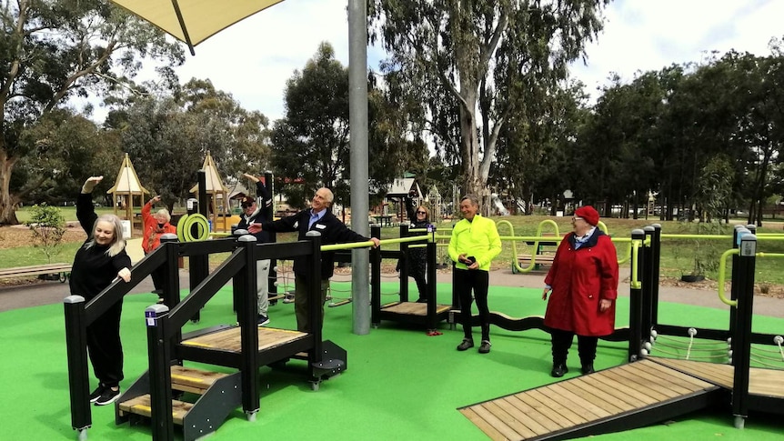 Older men and women try out the Seniors Exercise Park specialised equipment.