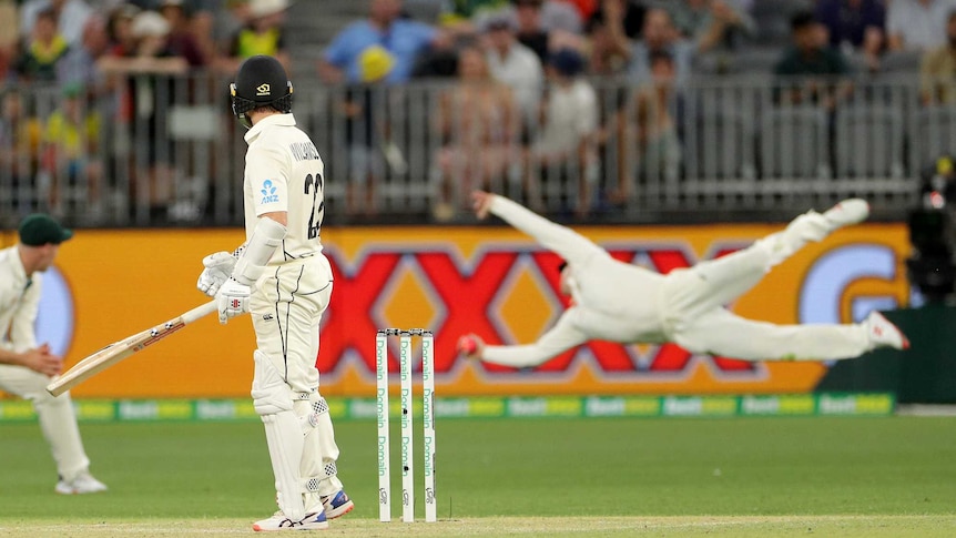 Kane Williamson watches as Steve Smith takes a spectacular catch in the slips to dismiss him.