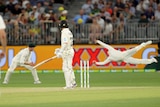 Kane Williamson watches as Steve Smith takes a spectacular catch in the slips to dismiss him.