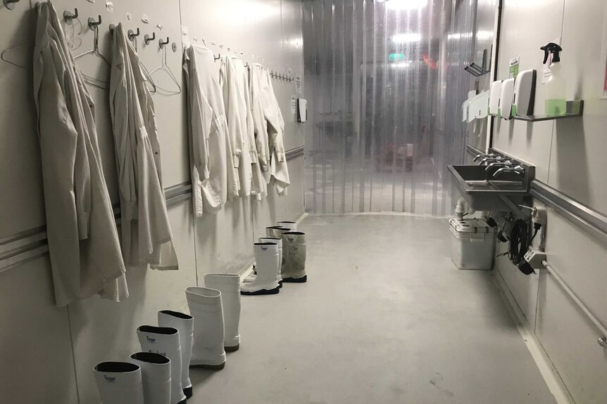 An empty white corridor inside the I Cook Foods business, lined with white lab coats, metal sinks and handwash.
