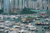 A city skyline looks out over a harbour filled with a multitude of small and medium-sized boats