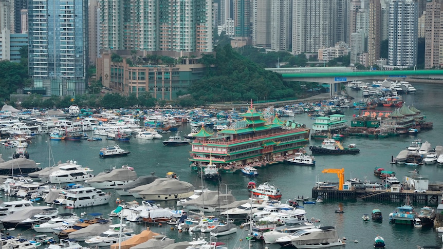 城市天际线看起来在一个满是中小型船只的港口上空