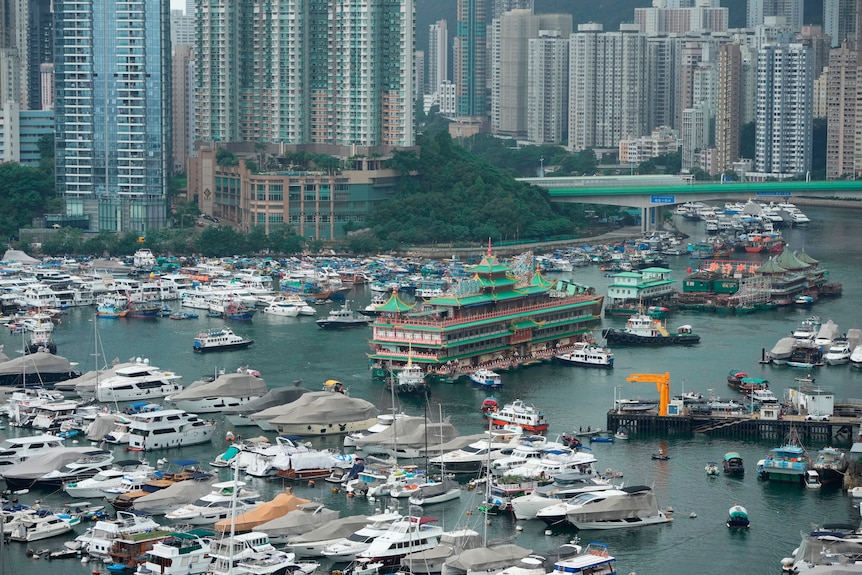 A city skyline looks out over a harbor filled with a multitude of small and medium-sized boats