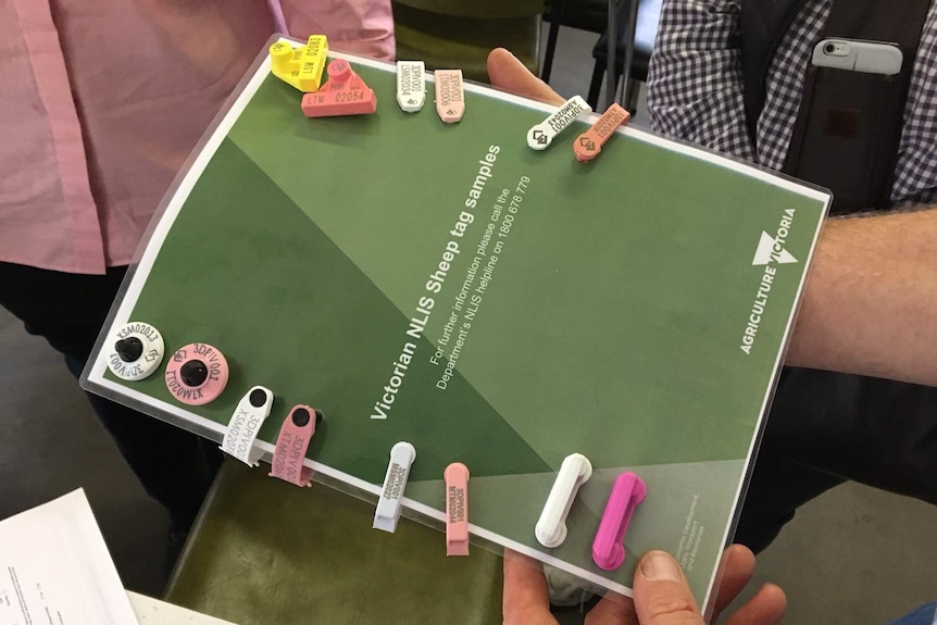 A sheet of sample electronic identification tags for sheep.